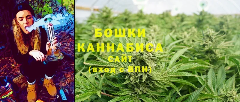 Бошки Шишки White Widow  дарнет шоп  Губкин 